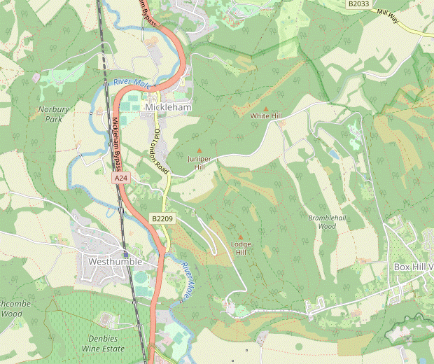 Walk Map: Box Hill Circular, via Mickleham