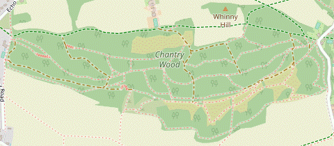 Chantry Wood